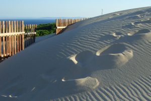 Punta Paloma en Tarifa, Cádiz